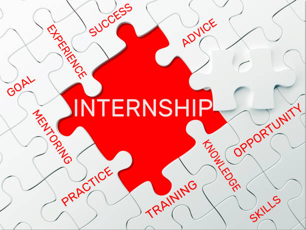 Working Experience as an Intern
